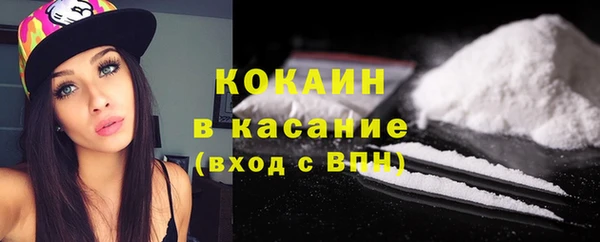 соль ск Алзамай