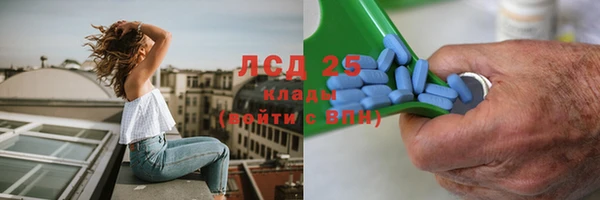 соль ск Алзамай
