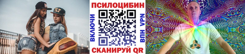Галлюциногенные грибы Psilocybe  Новоульяновск 